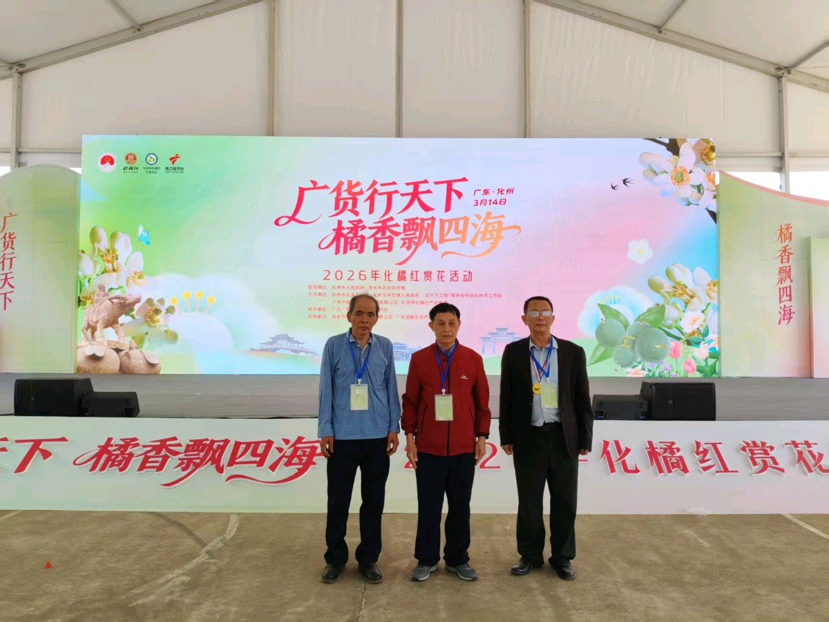《中国化橘红第一镇平定赋》联机全球发布谢瑛中作品欣赏(图67)