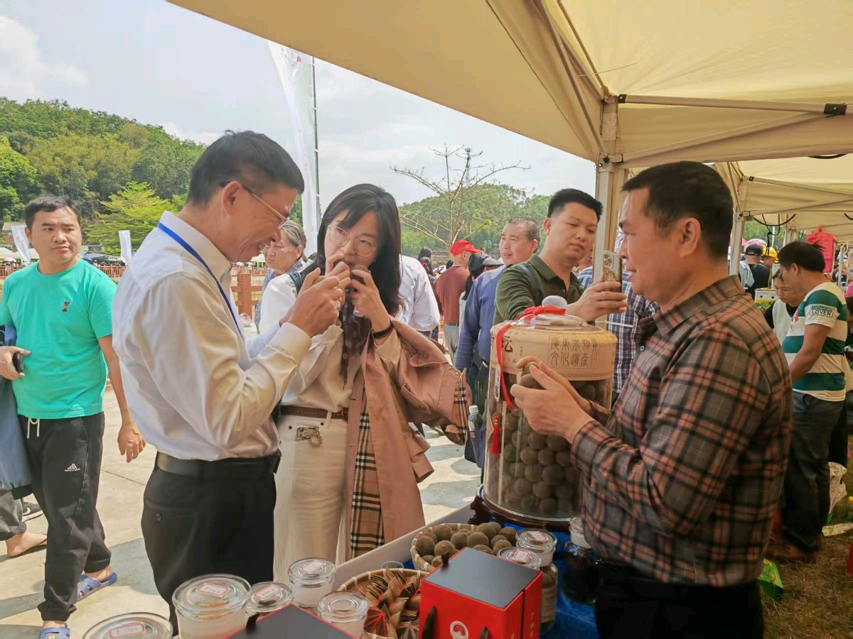《中国化橘红第一镇平定赋》联机全球发布谢瑛中作品欣赏(图68)