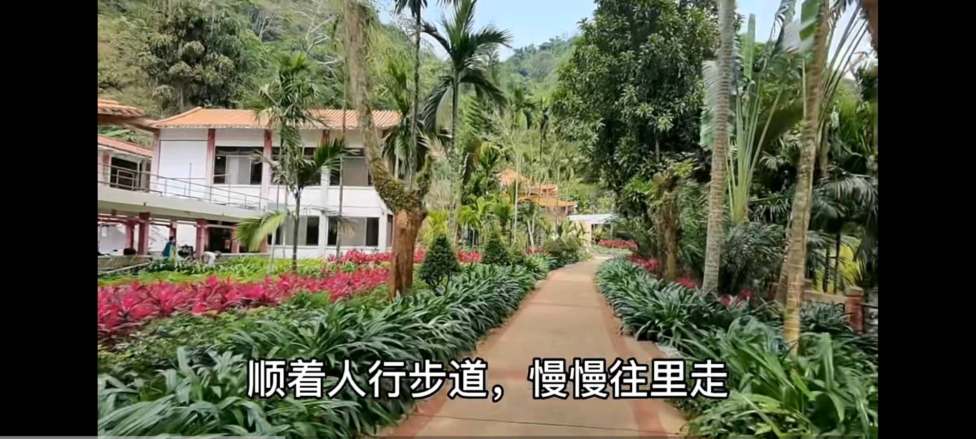 游五指山南国夏宫有感 作者：姚树学（图6）
