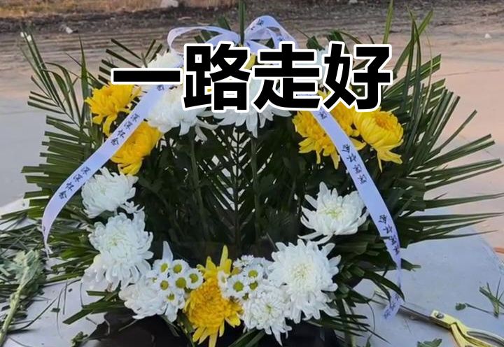 《中华好诗词》分享（河北）优秀诗人罗崇亮先生《植树节有咏》外四首敬请雅鉴（图9）