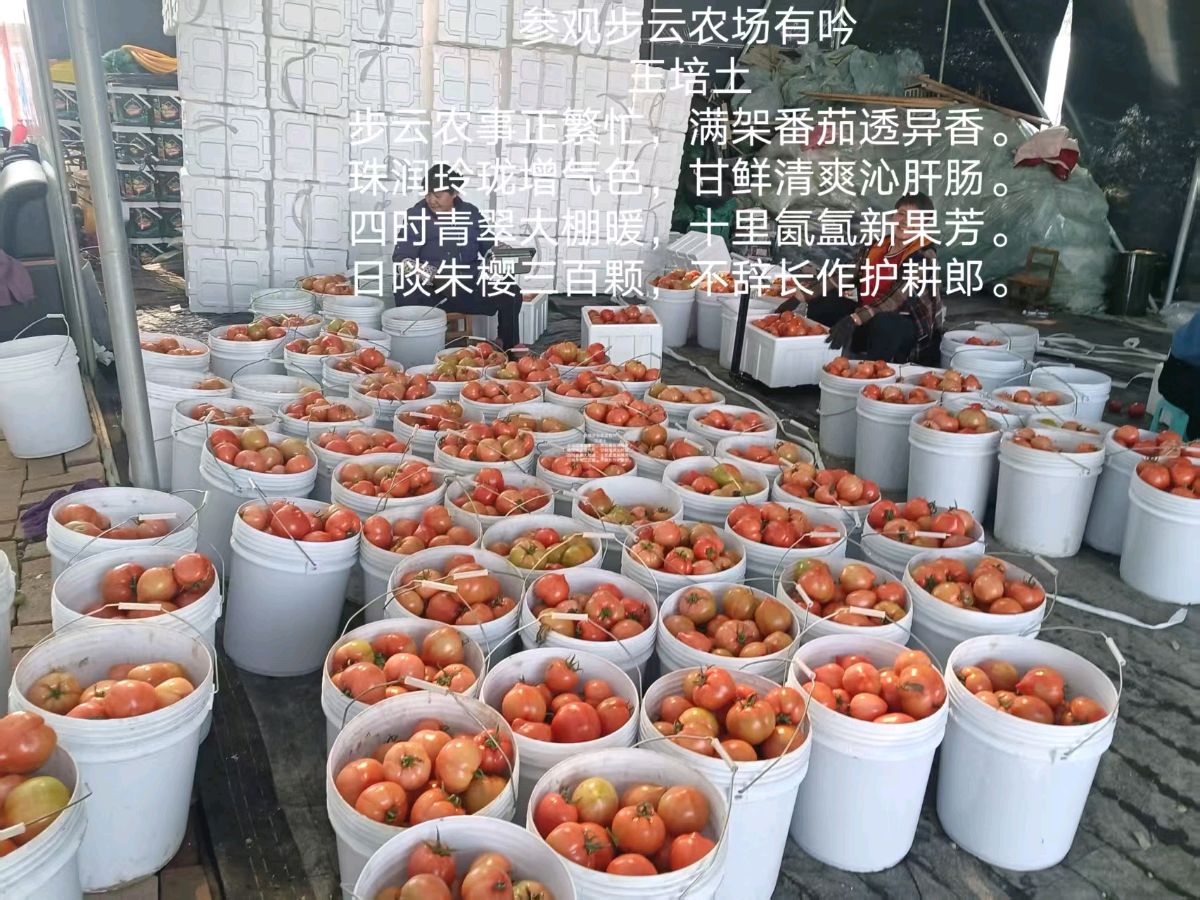 【上海头条】诗生活‖古韵飘香第300期：看图写诗（图2）