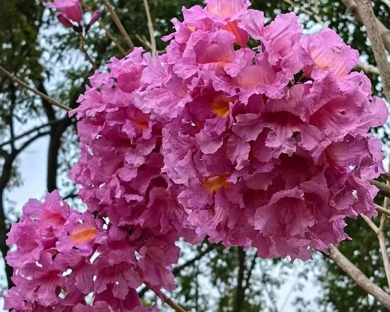 【上海头条】诗生活‖古韵飘香第300期：看图写诗（图5）