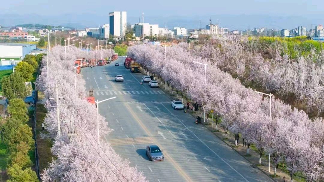 【荣耀中国】文学社*七律·阳春观景作者/李德政（安康）（图3）