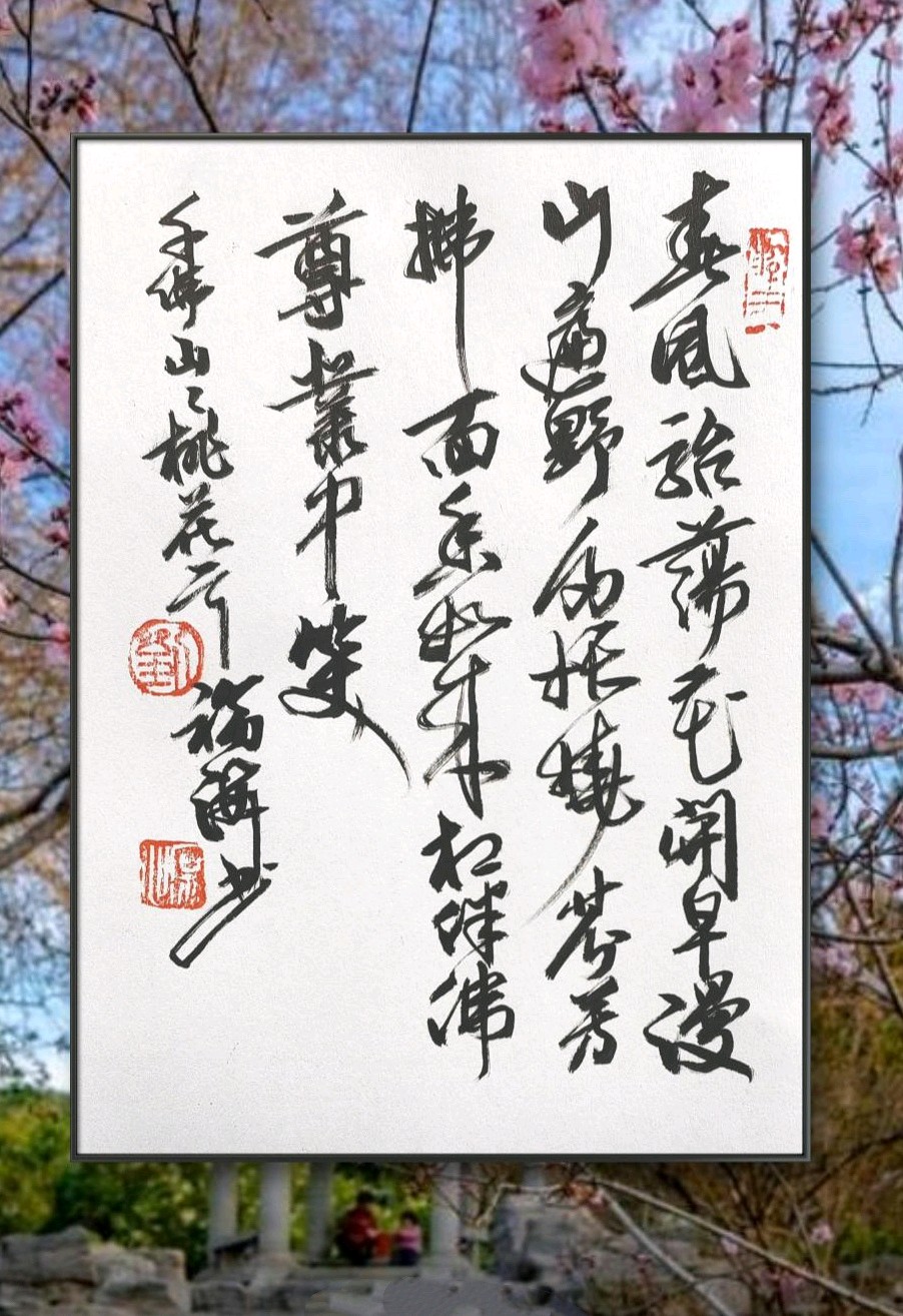 桃花烂漫时🌸