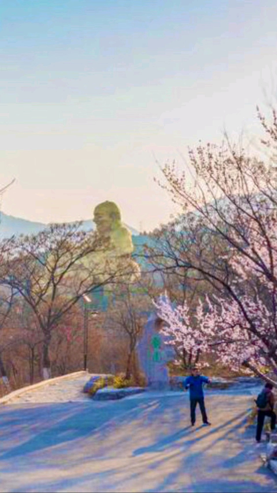 桃花烂漫时🌸（图4）