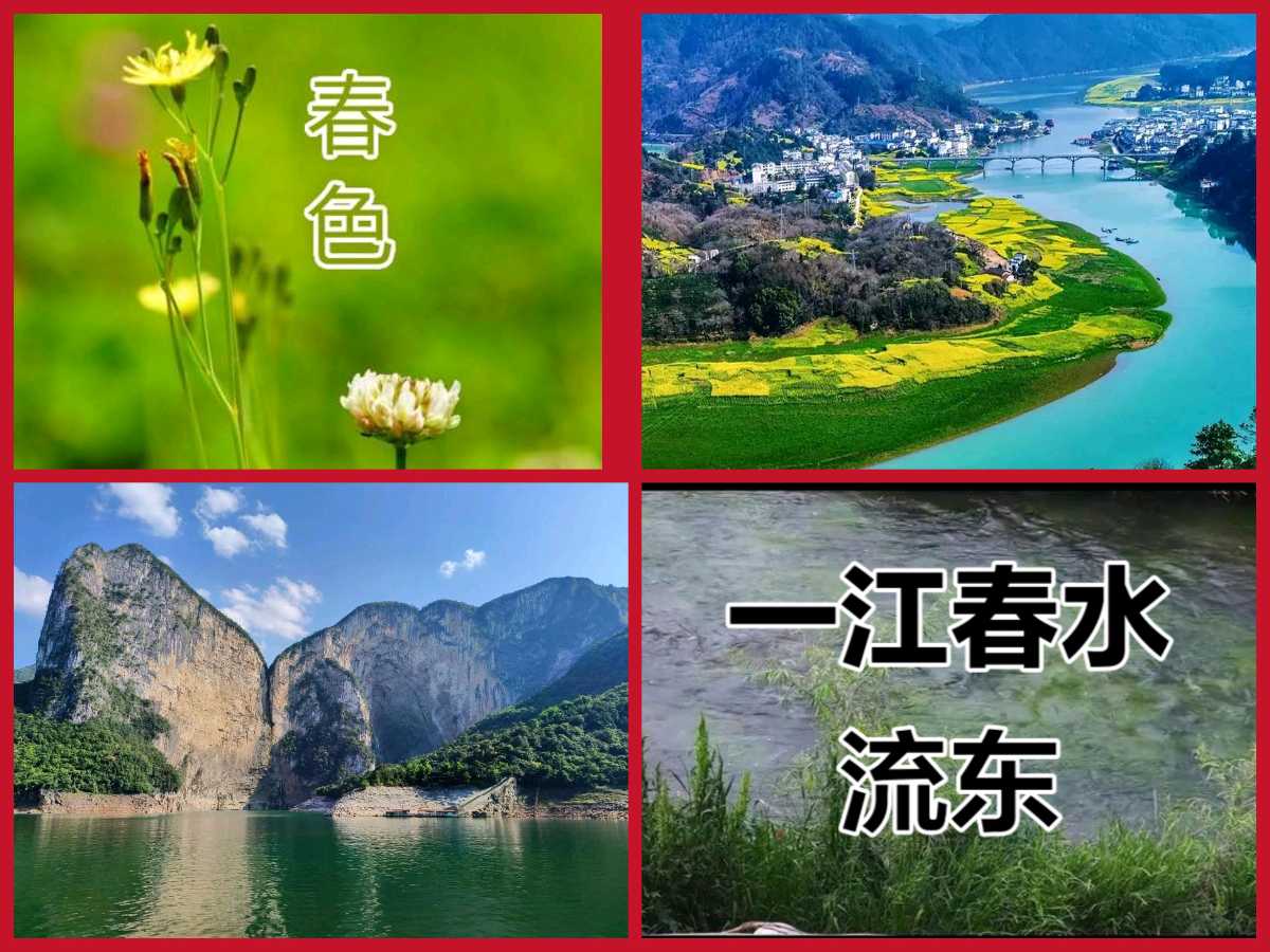 【春韵抒怀】李水平//春日偶成[五首欣赏]（图4）