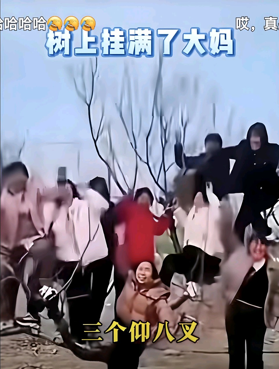 为“树上结满了大妈”配诗～李耀文（辽宁）（图12）