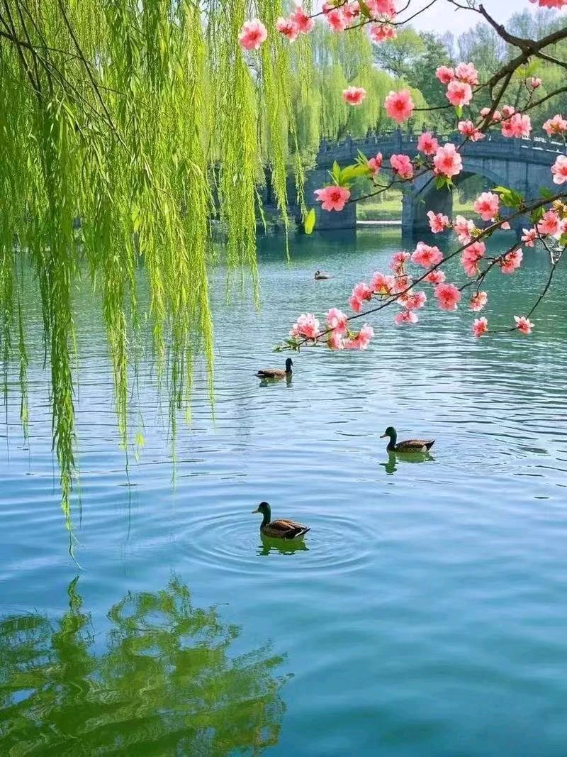 诗韵佳园《俊侠清吟》精品诗专刊（第1期）（图9）
