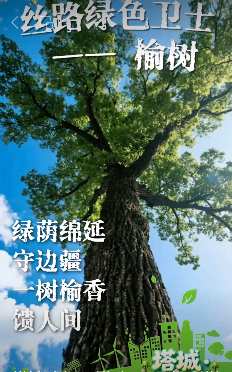 赵旭东（長民）//连根的榆树和楸树＿赵家巷旧事