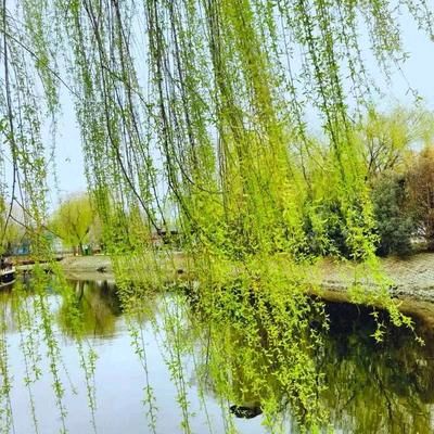 【神州源流诗苑】第1473期优秀现代诗等周刊(图9)