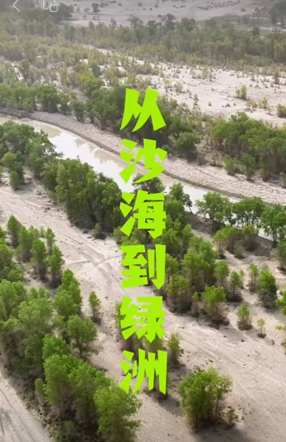【豆蔻诗社】七言诗（古风）春来当植树——丙午年植树节有感作者/梅楠梓（图3）