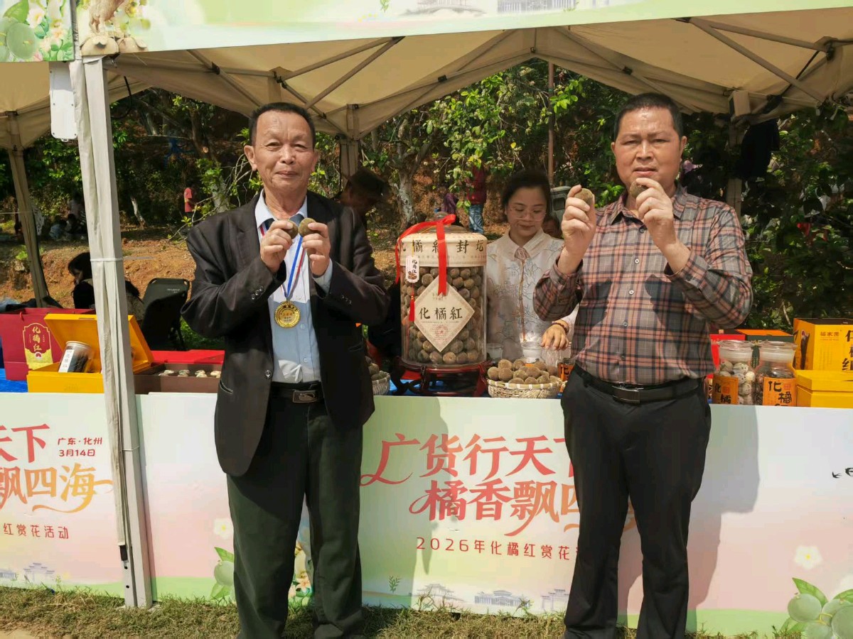 联机全球发布梁世平作品欣赏（图12）