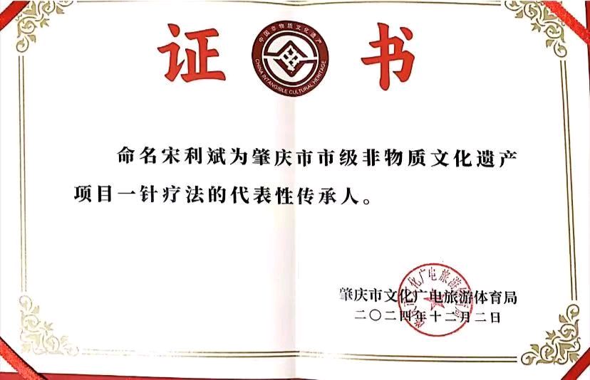 一根银针承古韵、非遗妙手护安康（图9）