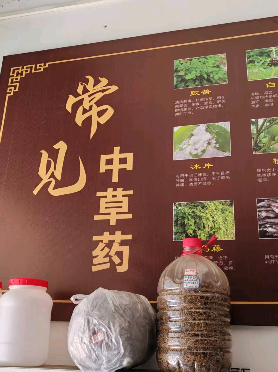 赣南“二王”民中医，南粤草药开天地！