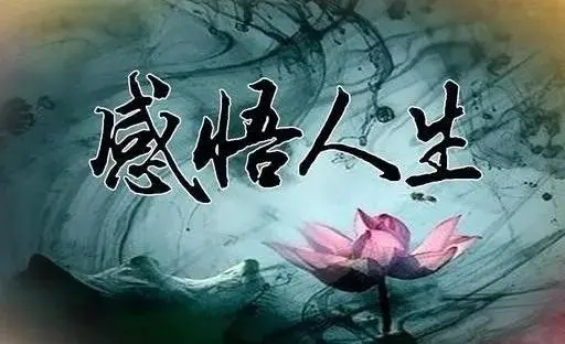 七律·人生感怀/七律·网缘抒怀/七绝·春意（文/china 第一灘）……莲叶之珠文学社