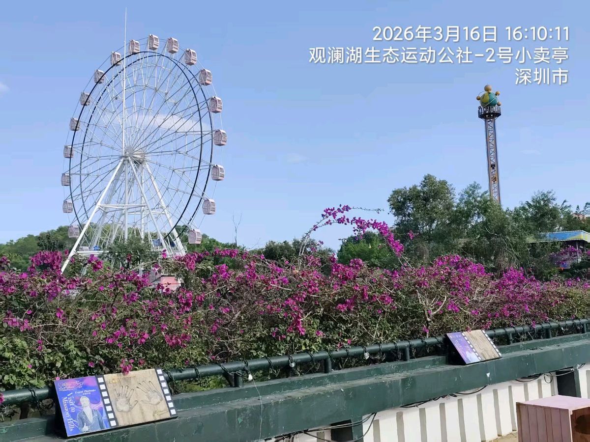 三元七绝~观澜湖樱花/詹成（图2）