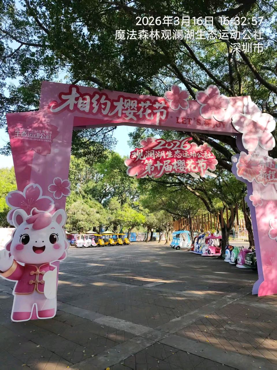 三元七绝~观澜湖樱花/詹成（图13）