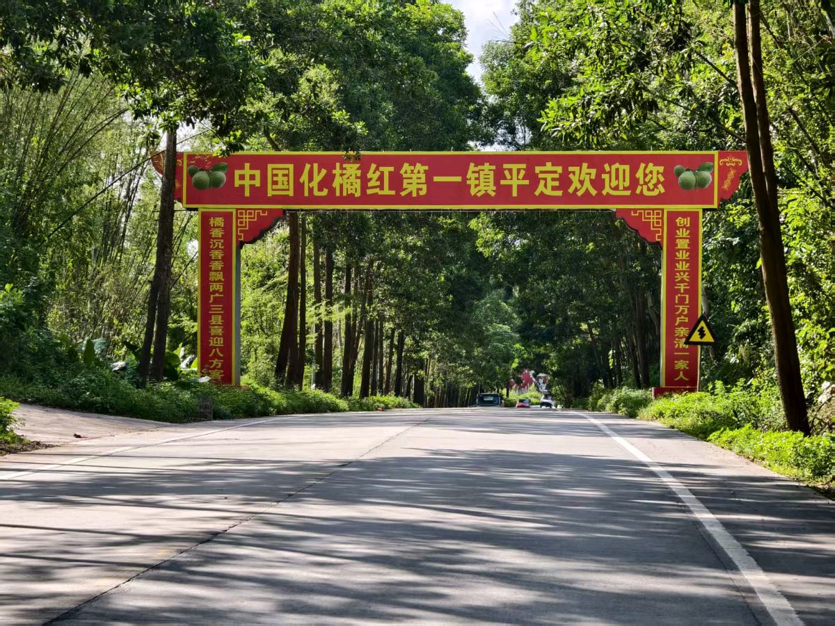 《与诸友游化州赏花节》联机全球发布谢瑛中、董昌信作品欣赏(图14)