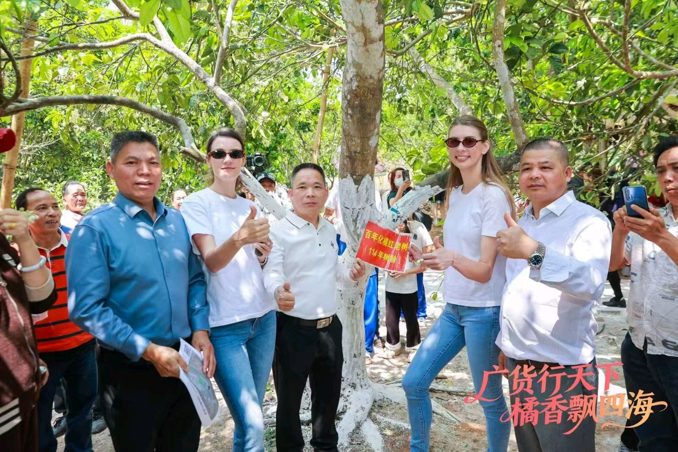 《与诸友游化州赏花节》联机全球发布谢瑛中、董昌信作品欣赏(图65)