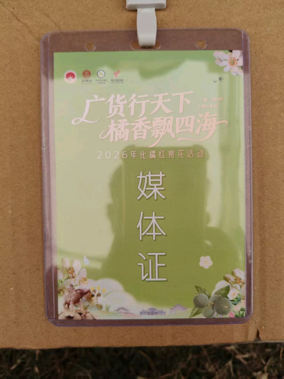 《与诸友游化州赏花节》联机全球发布谢瑛中、董昌信作品欣赏(图62)