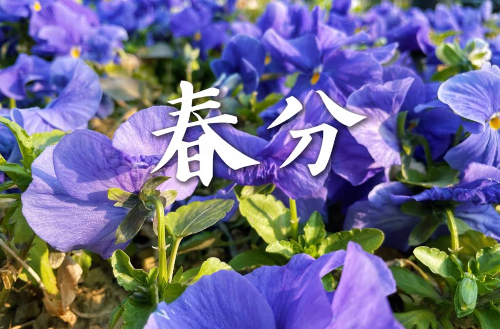【中国诗人】文坛*李万春诗词专辑第1期（图3）