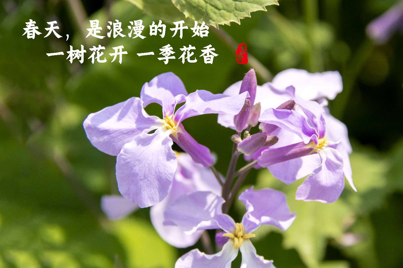 风清清《给发小郭丽霞》（图6）
