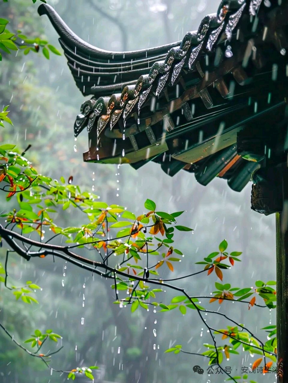 聆听 ‖ 蓝莓朗诵《雪花与春之情恋》作者/五彩云霞（图5）