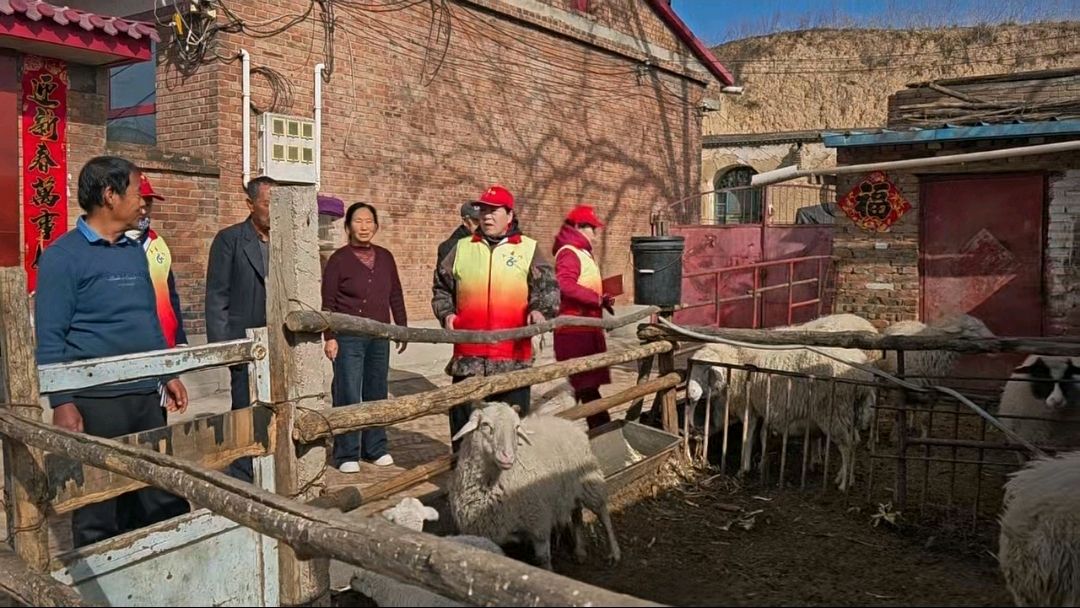情暖草沟调研行 助梦养殖兴乡村（图6）