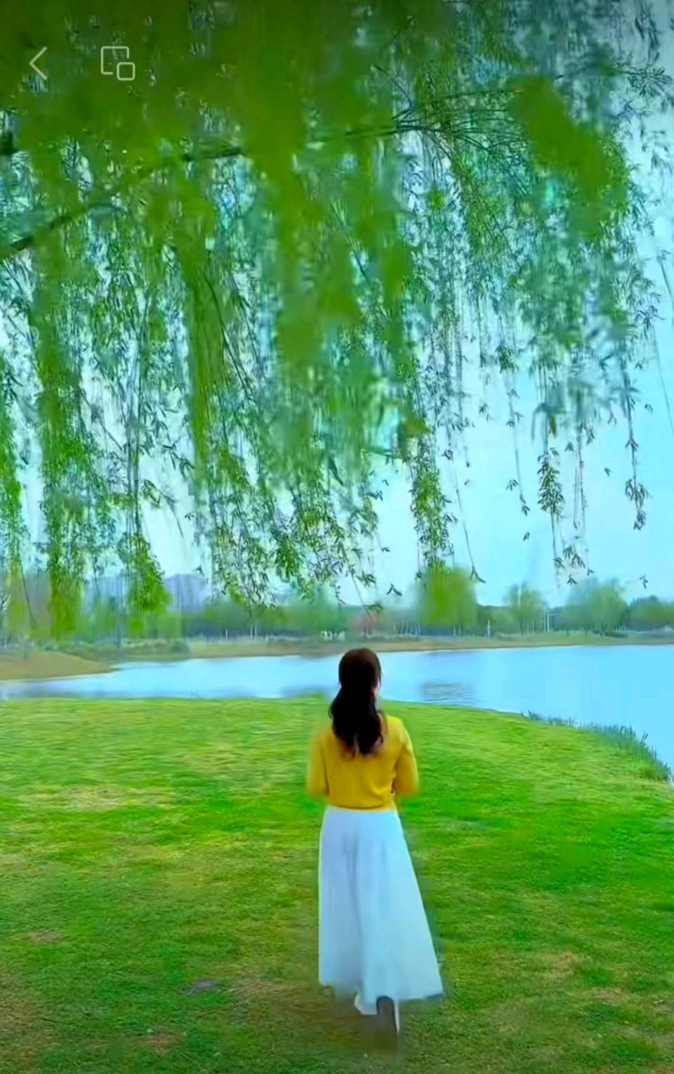 诗韵佳园《俊侠清吟》精品诗专刊(第1期)(图67)