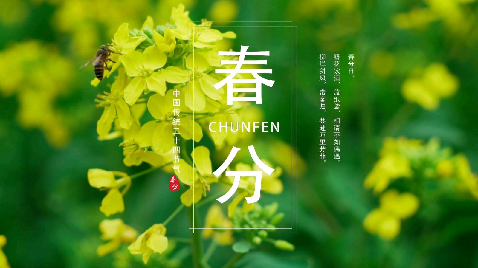 春分 作者:叶德纶（图2）