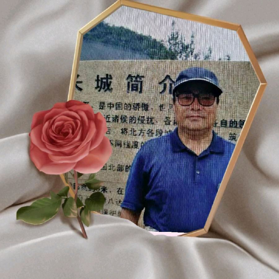 【新山东文学社】《乱世中爱祖国》作者/大漠情怀 主播/梅妃(图8)