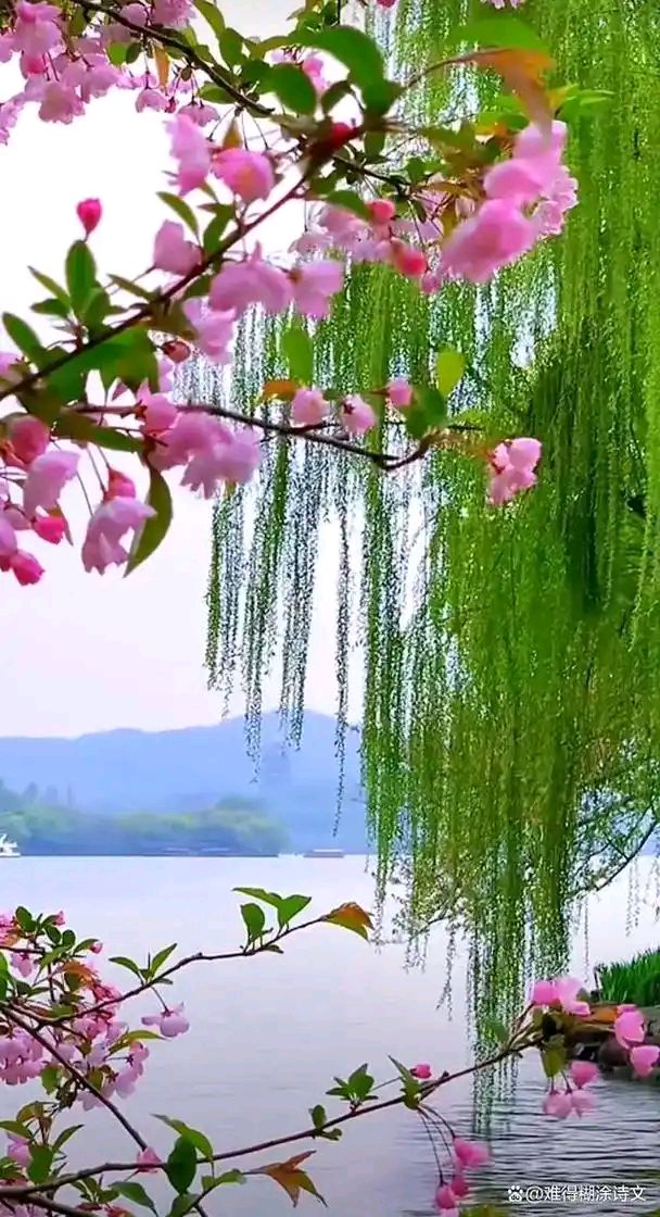 【新山东文学社】《开门,迎接三月》作者/陈铠 主播/菊心拾雨(图4)