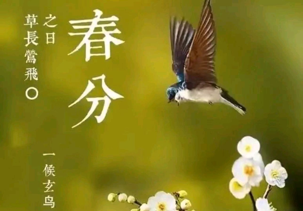 诗韵佳园《俊侠清吟》精品诗专刊(第2期)(图69)