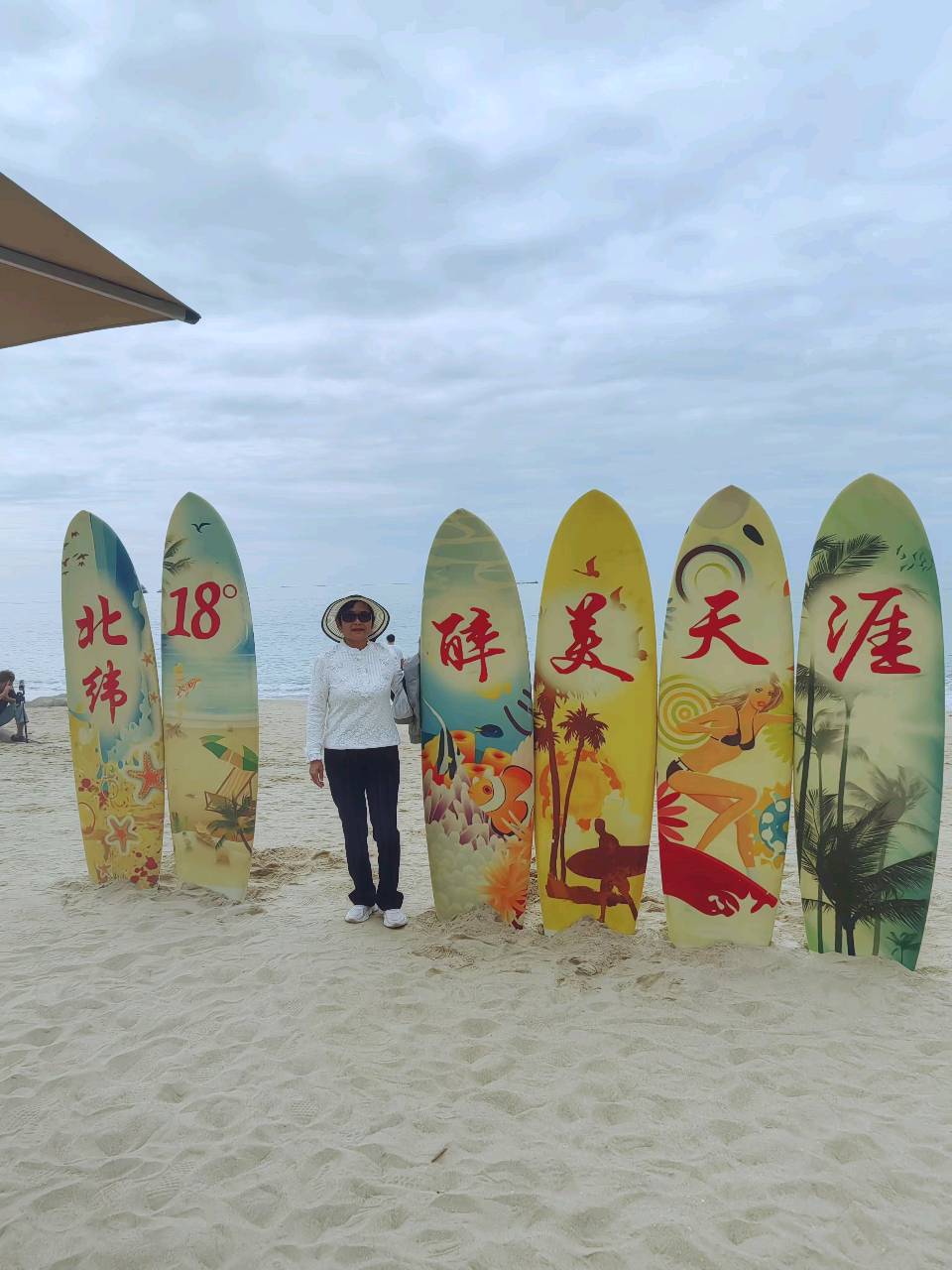 李志鸿作词《三亚海银都康养歌》【2026第173期】（图9）