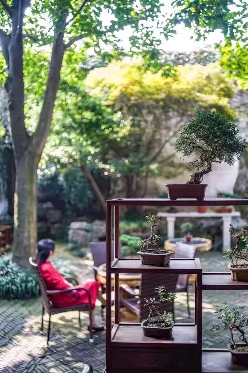 星月篇(54)，假如我有这样一个小院（图4）