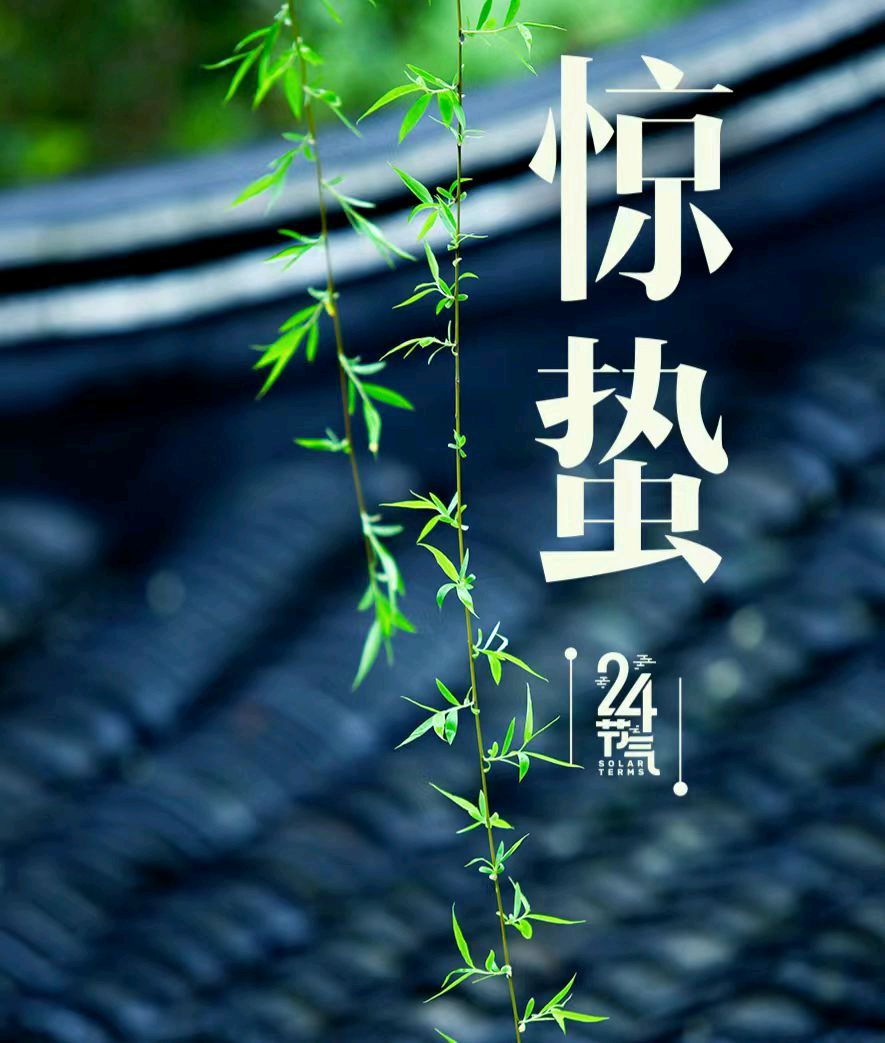 【荣耀中国】文学社*七律·春景仇元青（泰安）（图4）