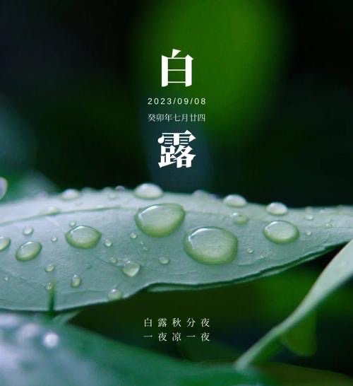 海外头条：《月亮在天上》（外二首）作者||马喜军（图6）