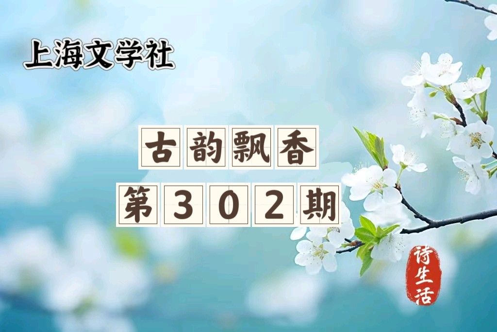 【上海头条】古韵飘香第302期