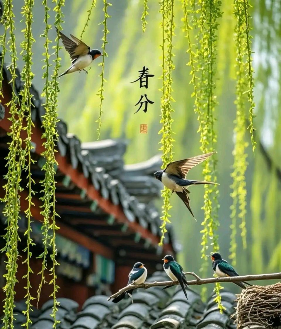 陕西作家秦战萍《春》诗组欣赏（图6）
