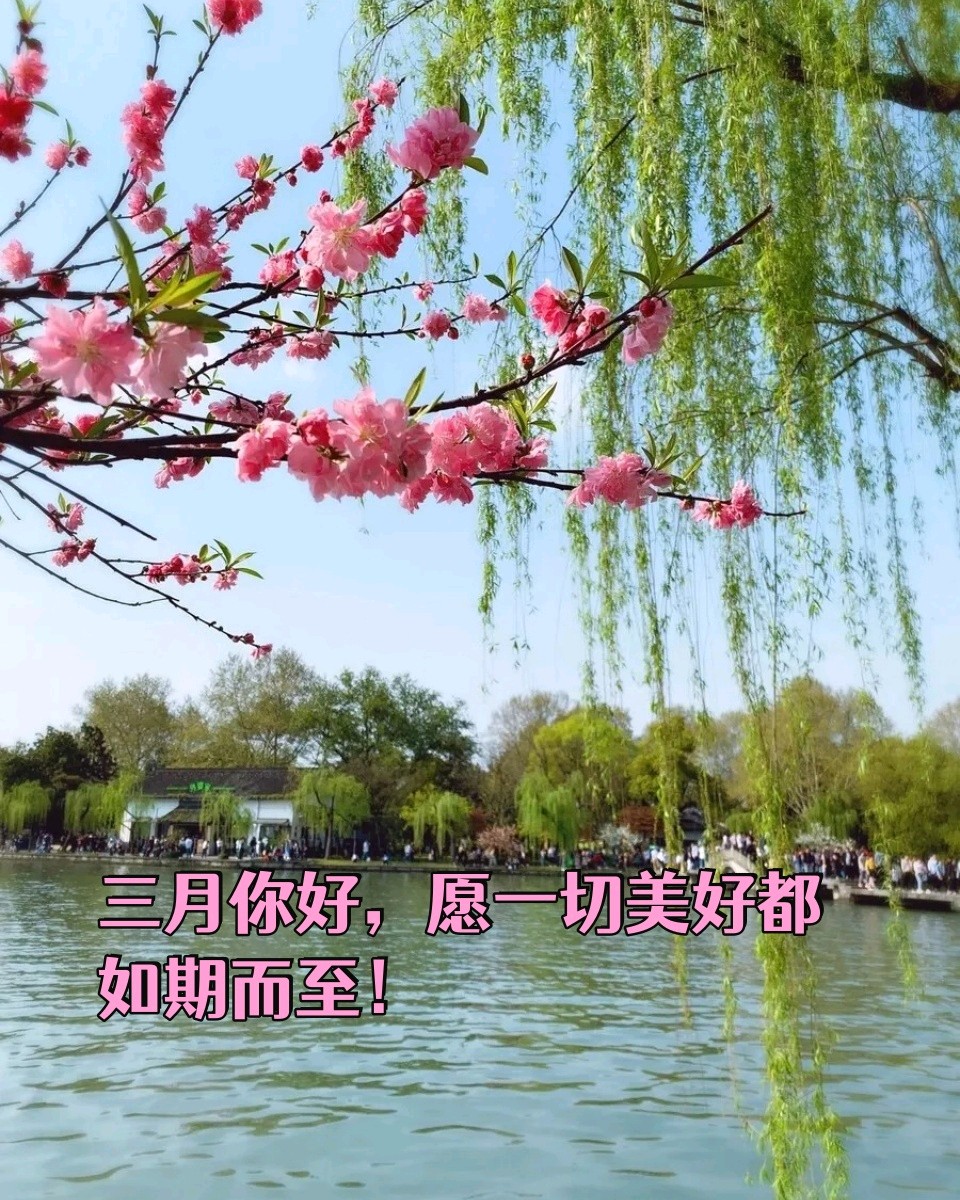 陕西作家秦战萍《春》诗组欣赏（图10）