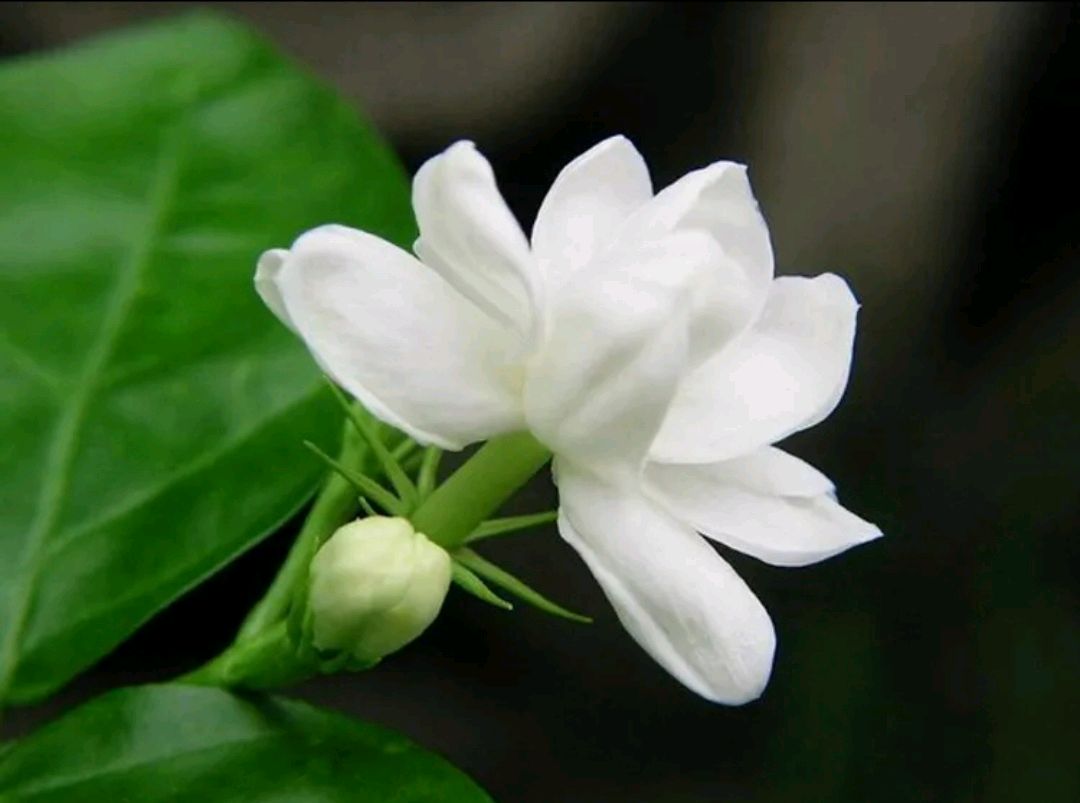《清明雨》（图3）