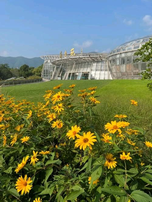 《七绝：咏植物园》文/侯洁——山东诗人（图2）