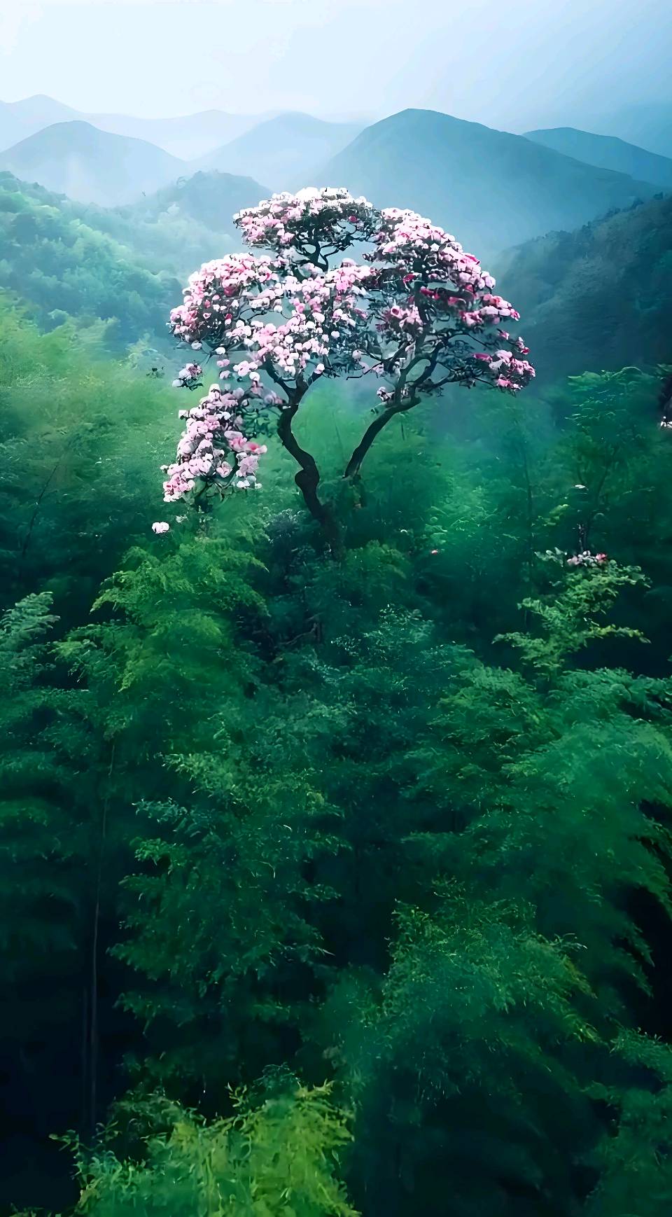 龙抬头～李耀文（辽宁）（图17）