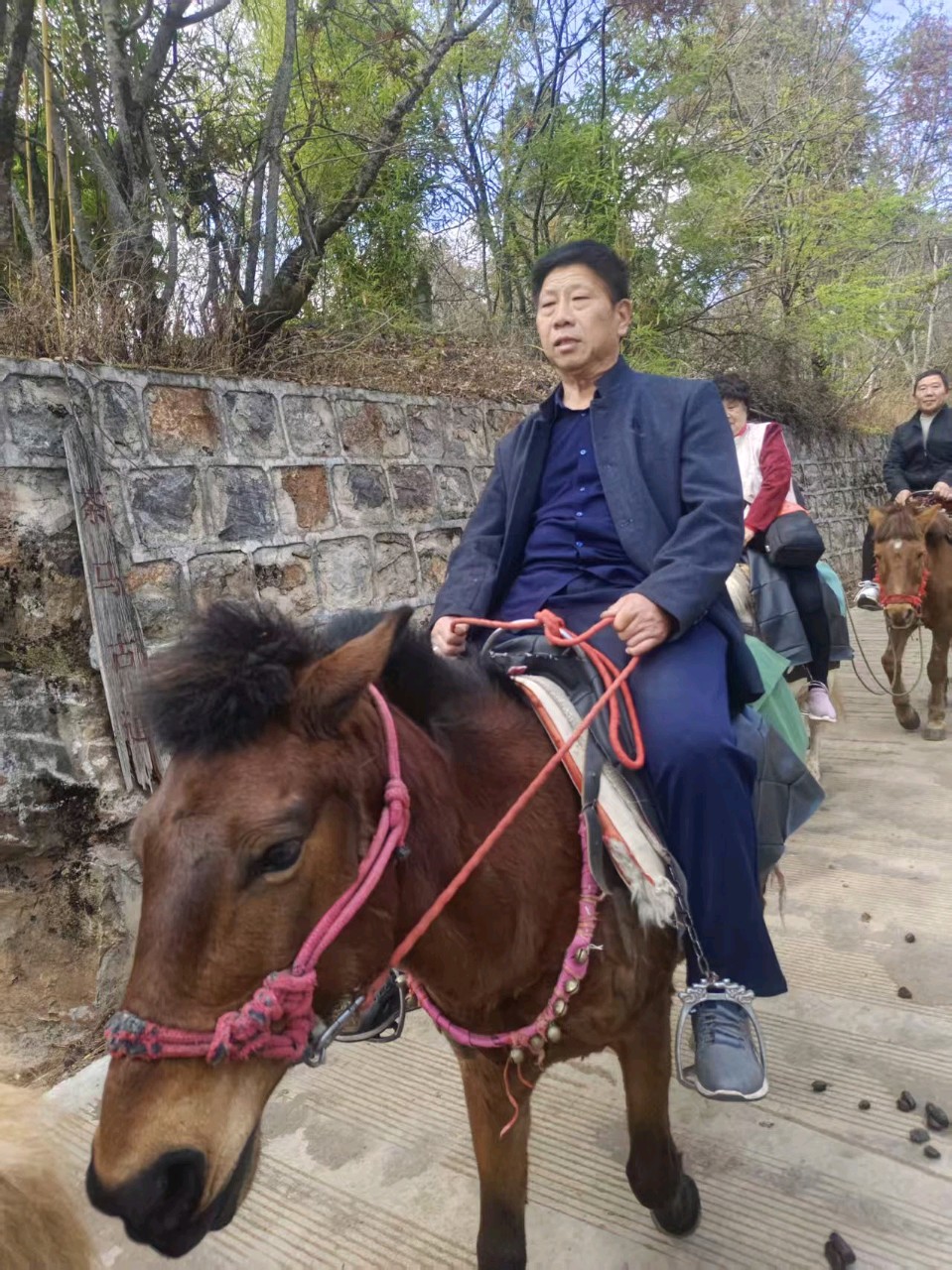茶马古道忆当年（外一首）/杨知予（图2）