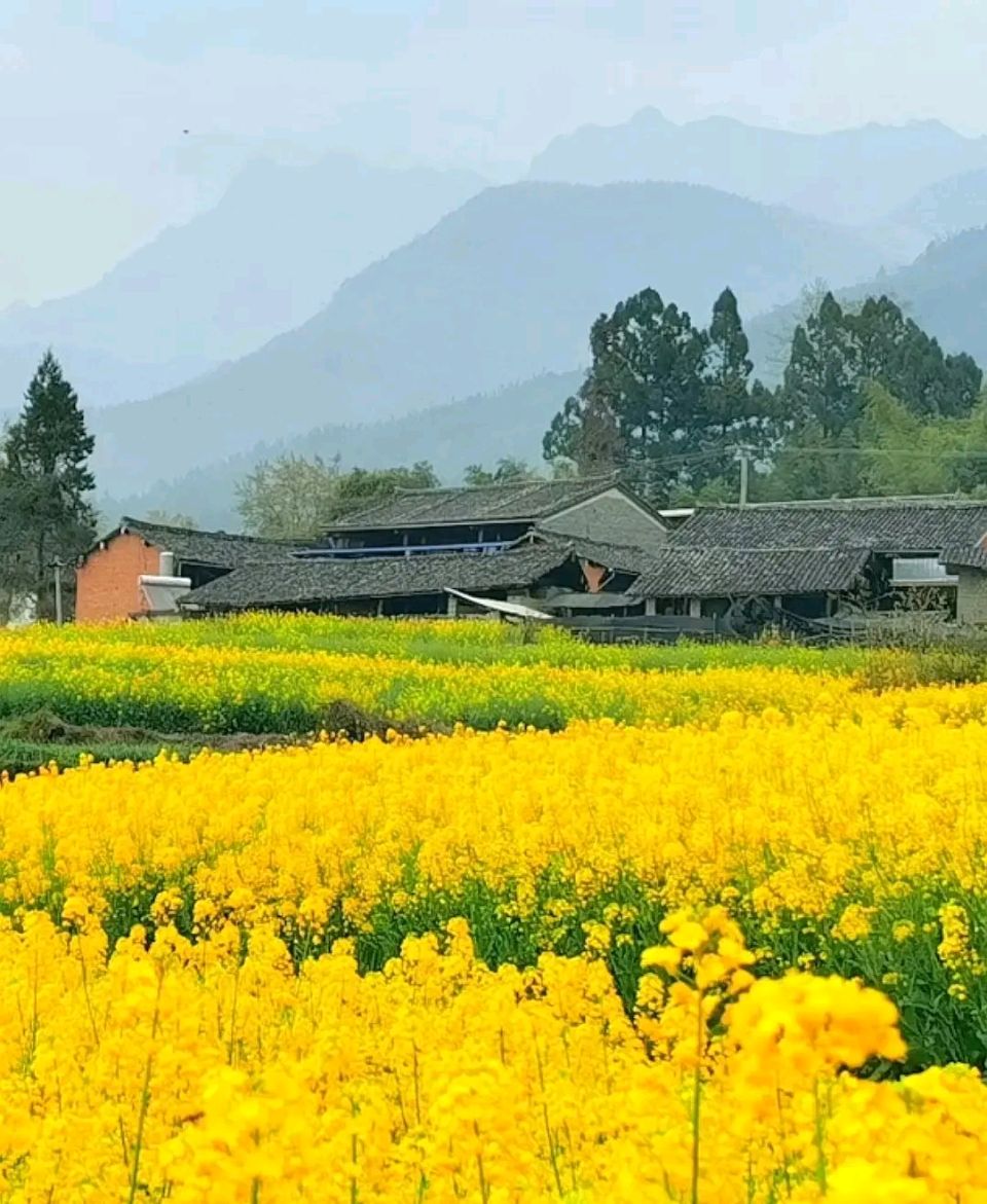 🇨🇳【中国诗人】第1288篇（名家风采）心向山野//文:杜有才（图4）