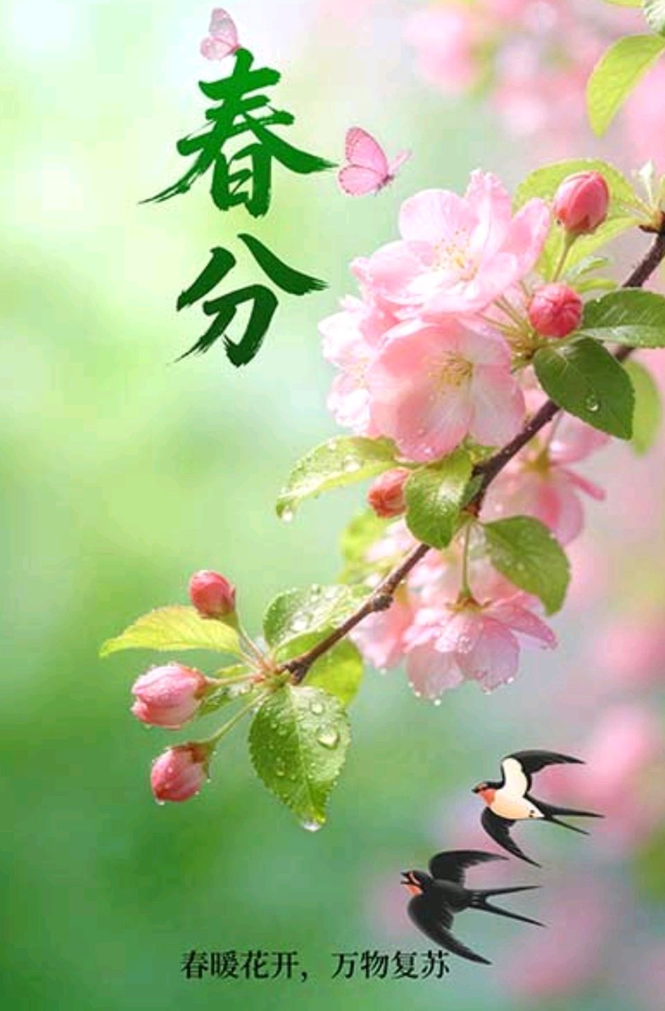 《〈春分〉诗词荟萃》（诗友合集）9159期～新京都文艺（图7）