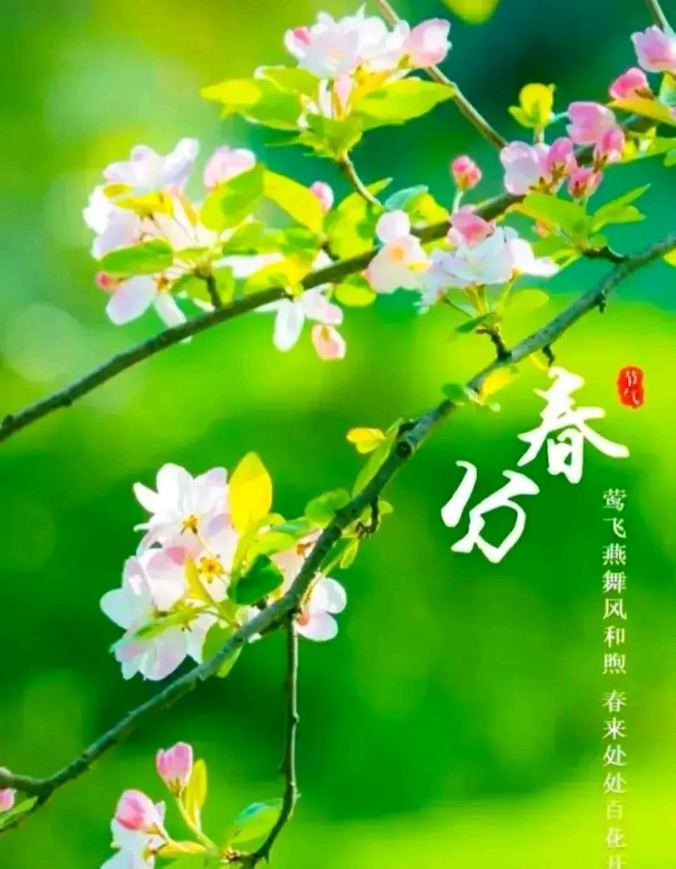 【荣耀中国】文学社*春分同题诗专题推荐(图2)