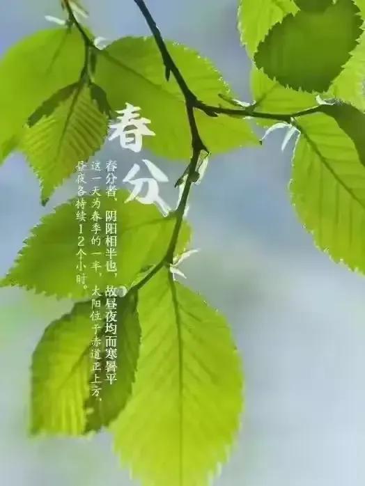 【荣耀中国】文学社*七律·春分日即景郭嘉(四川)(图4)