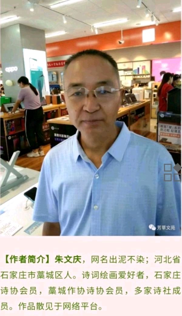 咏春律诗八首 文/朱文庆（图13）