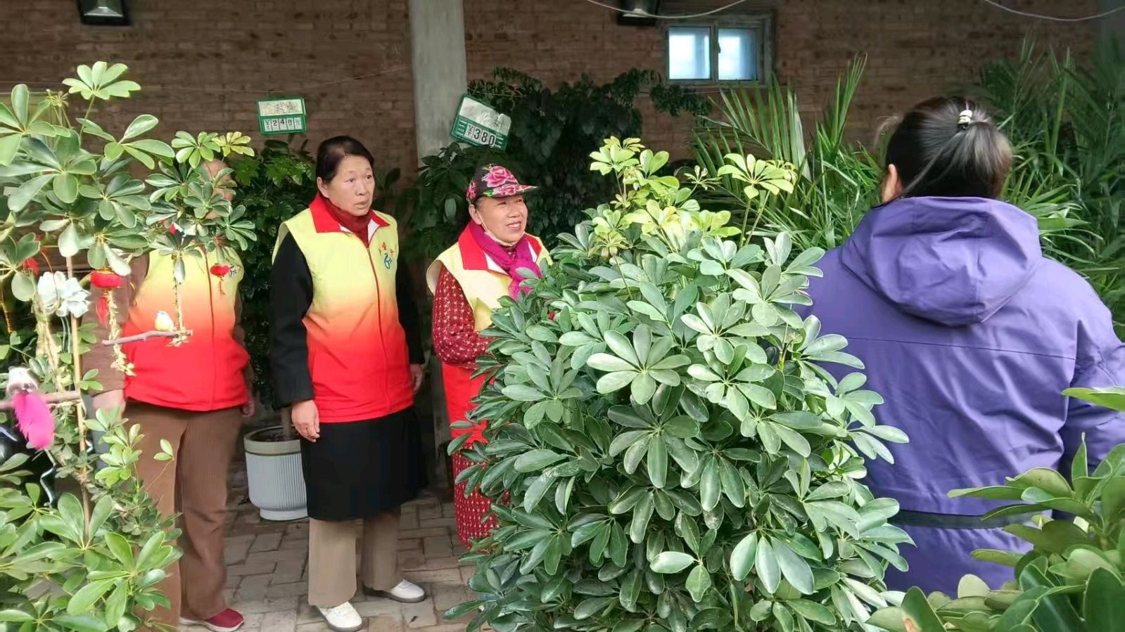 走进大棚察实情 献策拓销解民忧（图5）